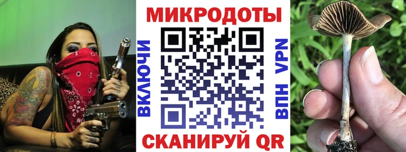 Псилоцибиновые грибы MAGIC MUSHROOMS  Купить где  Амурск 
