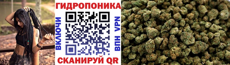 Купить закладки  Амурск  Шишки марихуана марихуана 